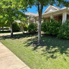 yard work by John’s Grass Service reviewed on August 20, 2025
