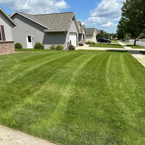 grass maintenance by MM Lawn Cutting reviewed on June 11, 2025