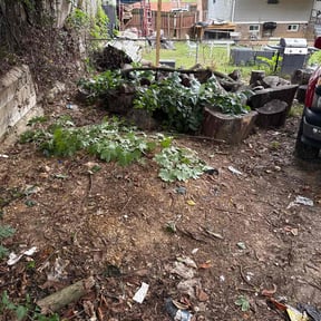 Bush Trimming by LCB Landscaping reviewed on October 21, 2025