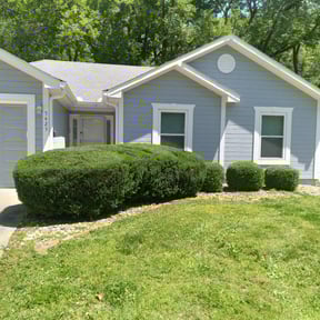 Bush Trimming by S&S Lawn Care reviewed on August 21, 2025
