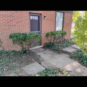 Bush Trimming by 242 Lawn Care reviewed on November 5, 2025