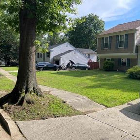 yard work by Joe Molinaro reviewed on August 20, 2025