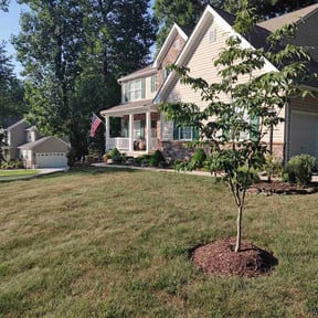 landscaping services by JBI landscapes llc reviewed on August 17, 2025