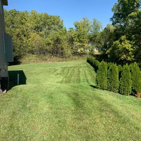 gardening service by Mow N Go Lawn Care reviewed on November 26, 2025