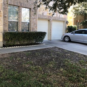 Bush Trimming by Elite Mowers LLC reviewed on August 17, 2025