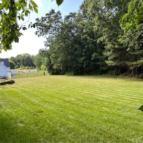 yard maintenance by R&G Lawn care reviewed on August 21, 2025