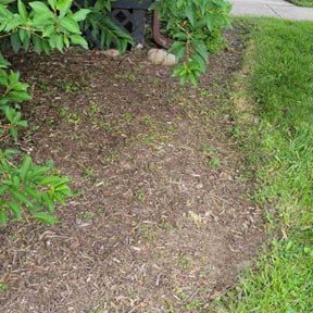 Flower Bed Weeding by Poetry In Motion, LLC reviewed on August 18, 2025