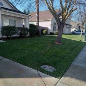 lawn service by Brothers Martinez reviewed on March 3, 2025