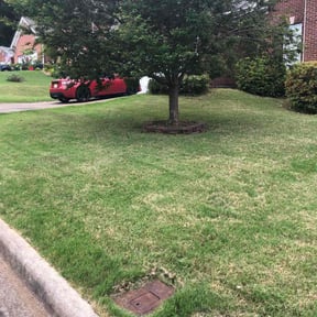 Bush Trimming by Kelley's lawn care reviewed on August 17, 2025