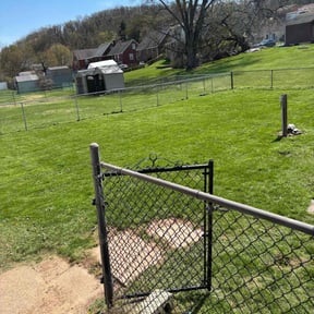 grass maintenance by Henrys Home Improvements reviewed on August 2, 2025