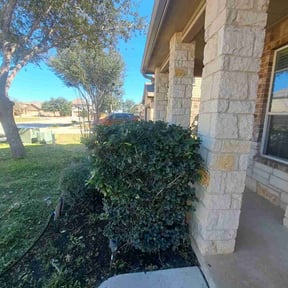 Bush Trimming by Advanced Agricultural Solutions reviewed on January 19, 2026