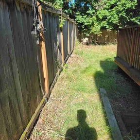 Bush Trimming by LKN Handy reviewed on June 24, 2026