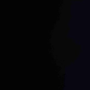 Leaf Removal by Sample Logistics Lawn Service  reviewed on September 25, 2025