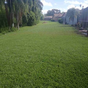 gardening service by Trash Cupid Rental reviewed on August 19, 2025