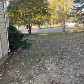 Leaf Removal by LL Lawn Services reviewed on September 30, 2025
