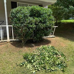 Bush Trimming by Eleazar Gavia reviewed on August 20, 2025