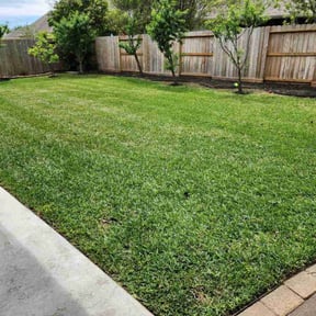 yard maintenance by Formed Earth Lawn & Landscape, LLC reviewed on August 16, 2025