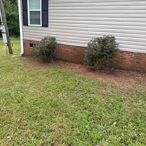 Bush Trimming by JB Mowing reviewed on November 19, 2025