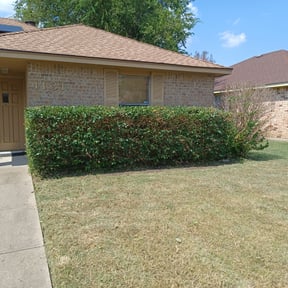 Bush Trimming by Freedom Lawn Care reviewed on August 15, 2025