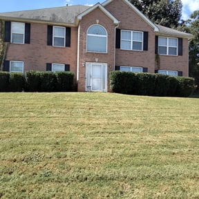 Bush Trimming by Colon Landscaping reviewed on August 20, 2025