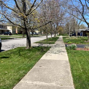 turf care by Phillip Landscape reviewed on June 4, 2025