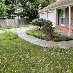 Bush Trimming by Cardinal lawn care and maintenance LLC reviewed on November 9, 2025