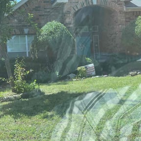 Bush Trimming by Triple M Kutters reviewed on August 16, 2025