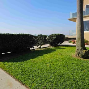 Bush Trimming by Dockstader Landscaping reviewed on December 4, 2025