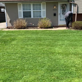 Bush Trimming by Triple S Cuts & Cleanouts reviewed on August 15, 2025