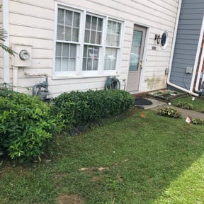 Bush Trimming by DT Property Preservation reviewed on August 19, 2025
