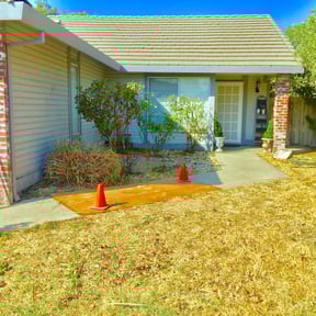 Bush Trimming by Rich Evergreen Mindful Lawn Care reviewed on August 17, 2025