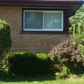 Bush Trimming by Kenny&#039;s Nice -N- Neat lawn servers reviewed on November 19, 2025