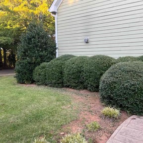 Bush Trimming by Rios Enterprise Lawn Mowing Services LLC reviewed on October 23, 2025