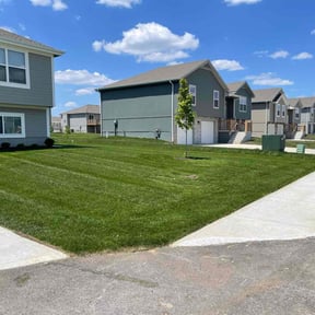 yard care by Hayes expedite service reviewed on August 19, 2025