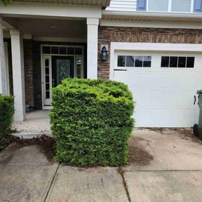 Bush Trimming by One Tuff Mama Roofing and Landscaping reviewed on August 13, 2025