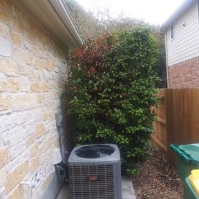 Bush Trimming by Anderson's Lawn Care reviewed on August 18, 2025