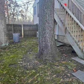 Leaf Removal by Acheys landscaping LLC reviewed on April 28, 2026
