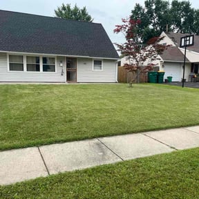 residential landscaping by Design Cuts Landscaping LLC reviewed on August 15, 2025