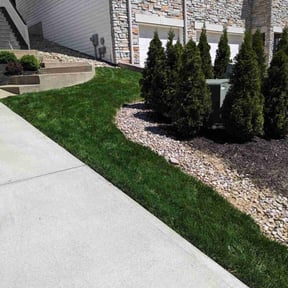 yard service by Eads Corp property management LLC reviewed on December 24, 2025