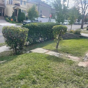 Bush Trimming by D&#039;s Lawn Care reviewed on August 14, 2025
