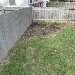 Flower Bed Weeding by TCPM LLC reviewed on October 22, 2025