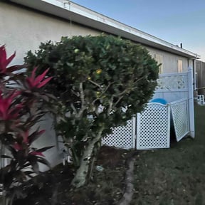 Bush Trimming by New Image Lawn Care reviewed on August 18, 2025
