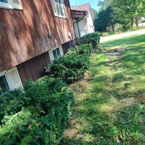 Bush Trimming by Jeff's Lawn service reviewed on August 18, 2025