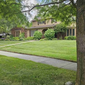 lawn care services by Sweat & Soil reviewed on June 22, 2025