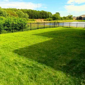 Long Grass Cleanup by Cari lawn care reviewed on August 15, 2025