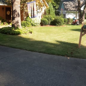 yard maintenance by MB Williams Lawn Care Services reviewed on August 15, 2025