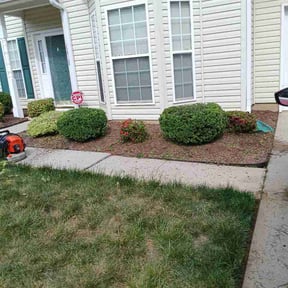 Bush Trimming by Undefeatedlandscaping LLC. reviewed on April 20, 2026