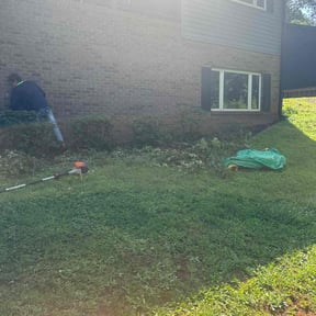 Bush Trimming by D's Lawn Care reviewed on August 21, 2025