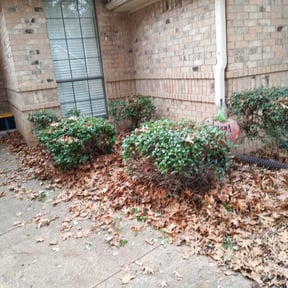 Bush Trimming by Midwest Ecoscapes reviewed on July 26, 2022