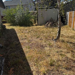 Bush Trimming by Texas Best Lawn and Farm reviewed on August 15, 2025